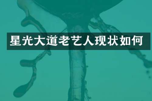 星光大道老艺人现状如何
