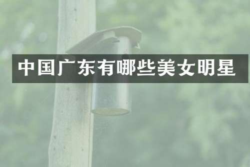 中国广东有哪些明星