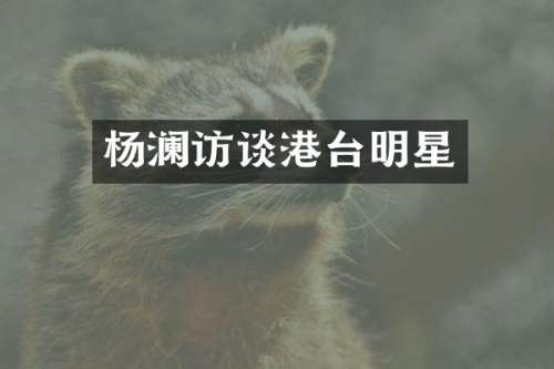 杨澜访谈港台明星