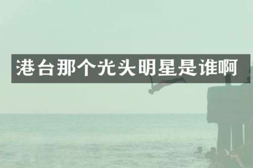 港台那个光头明星是谁啊