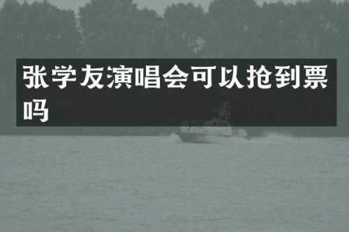 张学友演唱会可以抢到票吗