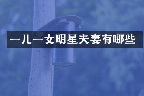 一儿一女明星夫妻有哪些