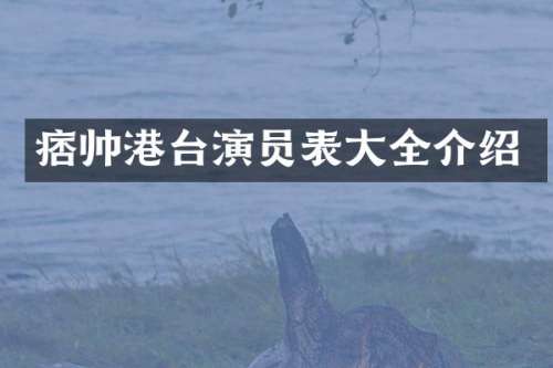 痞帅港台演员表大全介绍