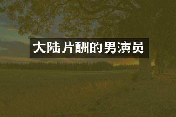 大陆片酬的男演员