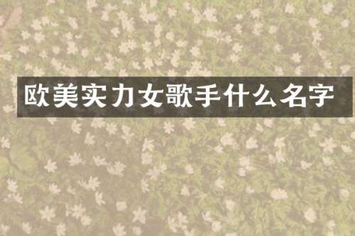欧美实力女歌手什么名字