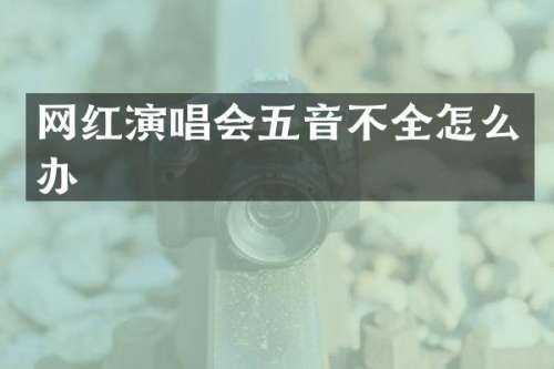 网红演唱会五音不全怎么办