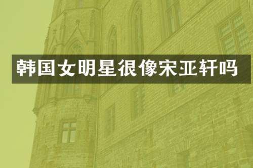 韩国女明星很像宋亚轩吗