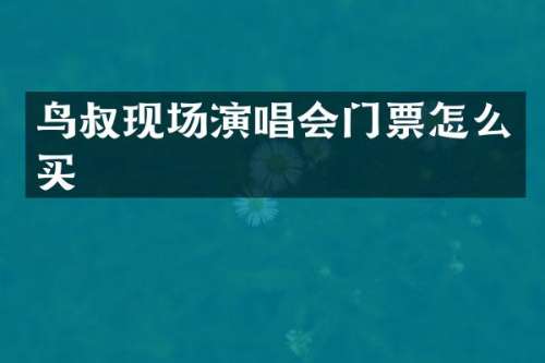 鸟叔现场演唱会门票怎么买