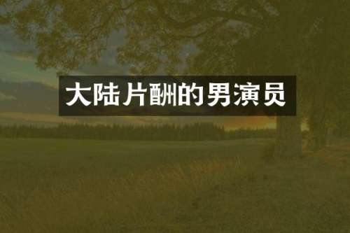 大陆片酬的男演员