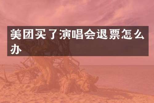 美团买了演唱会退票怎么办