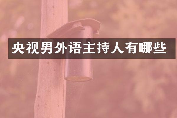 央视男外语主持人有哪些