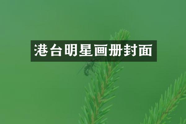 港台明星画册封面