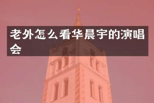老外怎么看华晨宇的演唱会