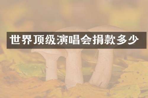 世界顶级演唱会捐款多少