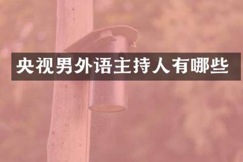 央视男外语主持人有哪些