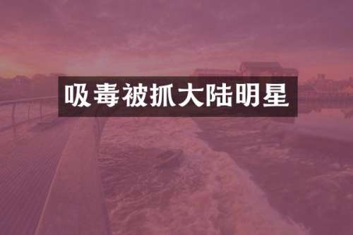 吸毒被抓大陆明星