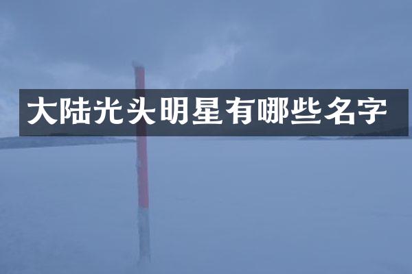 大陆光头明星有哪些名字