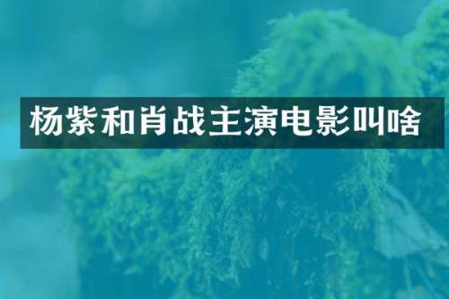 杨紫和肖战主演电影叫啥