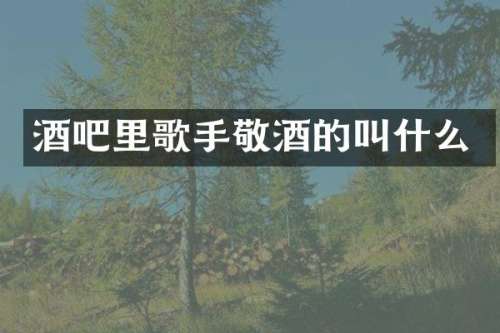酒吧里歌手敬酒的叫什么