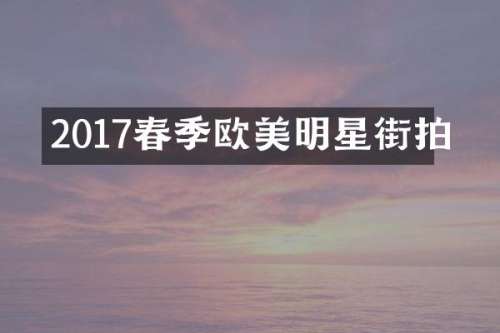 2017春季欧美明星街拍