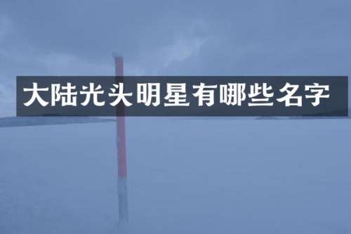 大陆光头明星有哪些名字