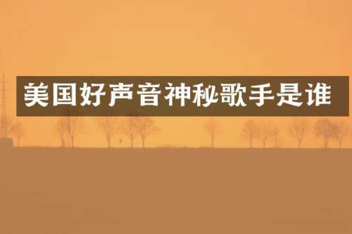 美国好声音神秘歌手是谁