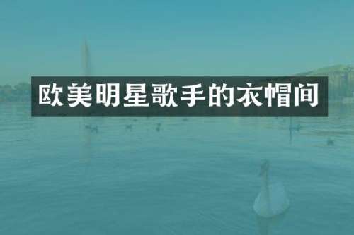 欧美明星歌手的衣帽间