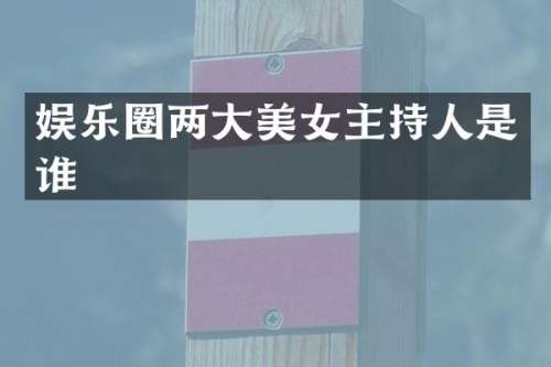 娱乐圈两大主持人是谁