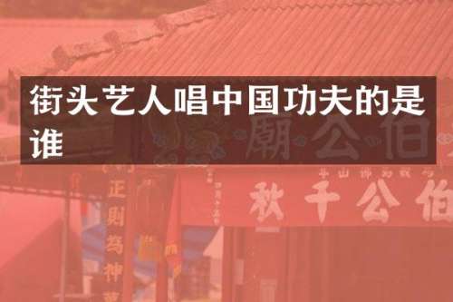 街头艺人唱中国功夫的是谁