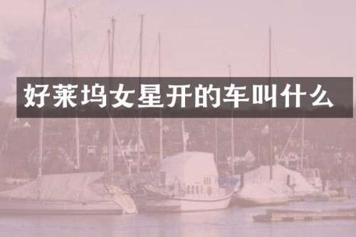 好莱坞女星开的车叫什么