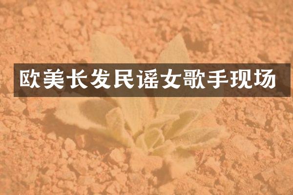 欧美长发民谣女歌手现场