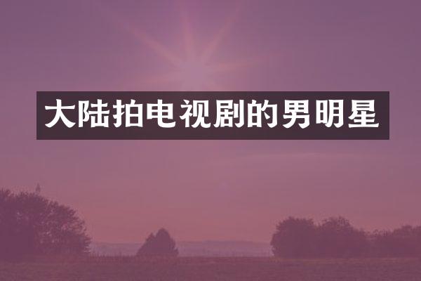大陆拍电视剧的男明星