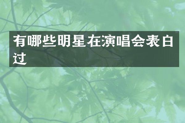 有哪些明星在演唱会表白过