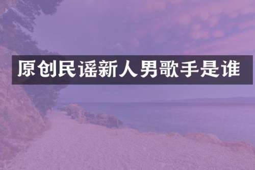 原创民谣新人男歌手是谁