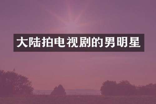 大陆拍电视剧的男明星