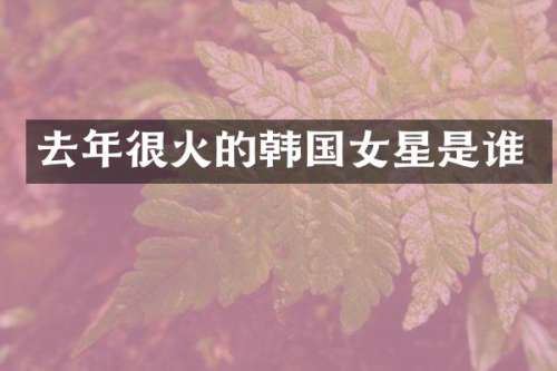 去年很火的韩国女星是谁