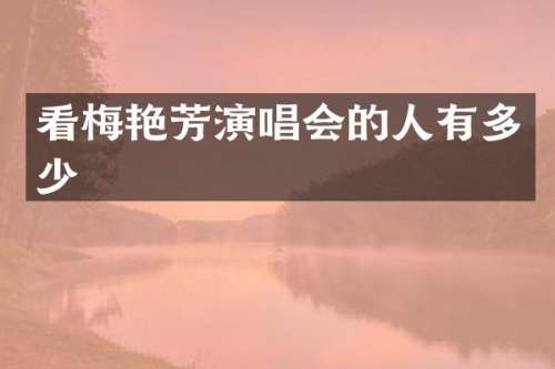看梅艳芳演唱会的人有多少