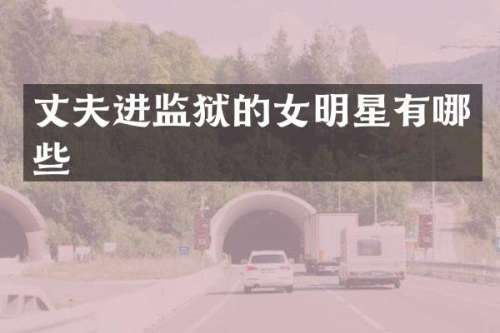 丈夫进监狱的女明星有哪些