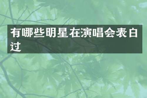 有哪些明星在演唱会表白过
