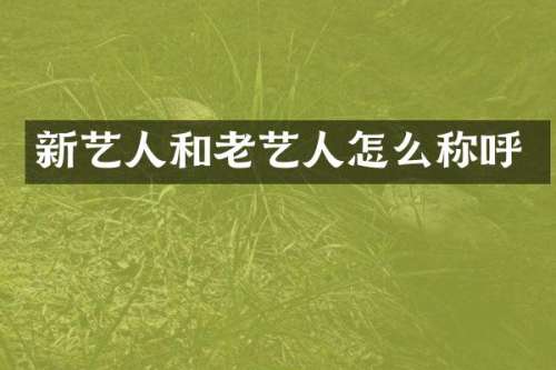新艺人和老艺人怎么称呼