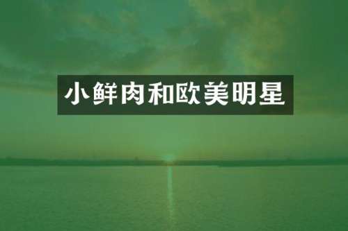 小鲜肉和欧美明星