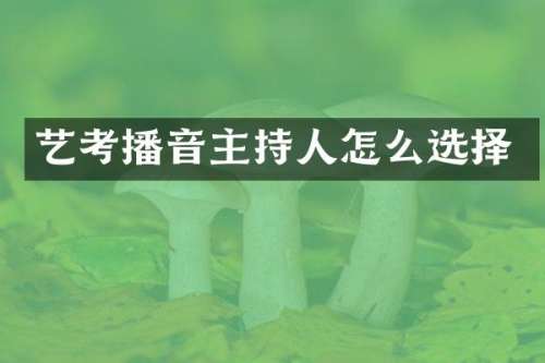 艺考播音主持人怎么选择