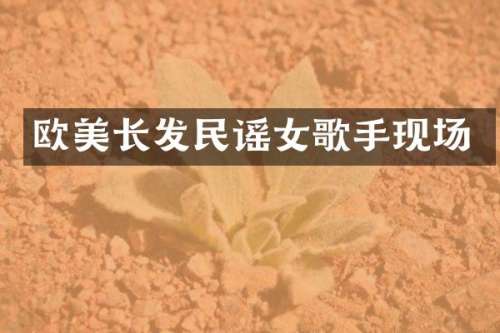 欧美长发民谣女歌手现场
