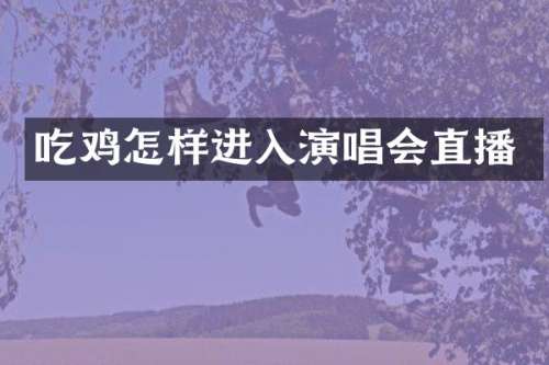 吃鸡怎样进入演唱会直播