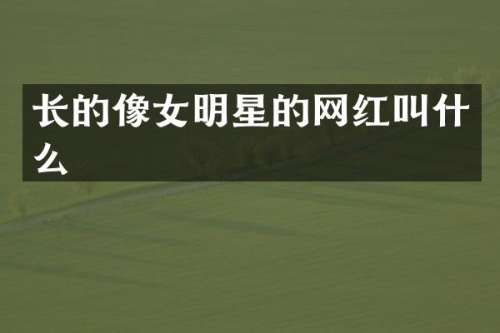 长的像女明星的网红叫什么