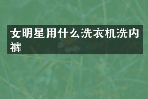 女明星用什么洗衣机洗内裤