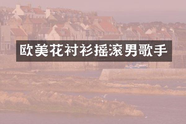 欧美花衬衫摇滚男歌手