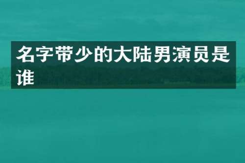名字带少的大陆男演员是谁