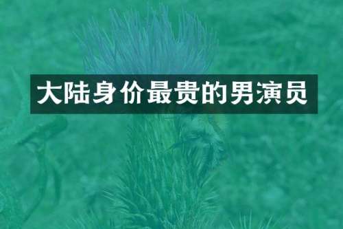 大陆身价最贵的男演员