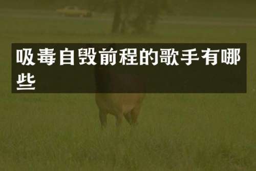 吸毒自毁前程的歌手有哪些